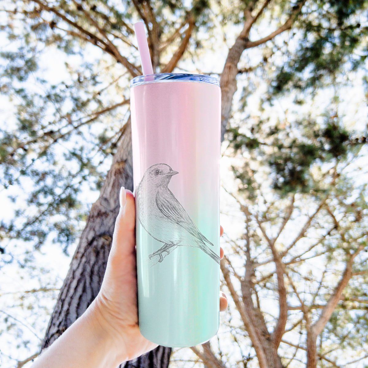 Eastern Bluebird - Sialia sialis - 20oz Skinny Tumbler