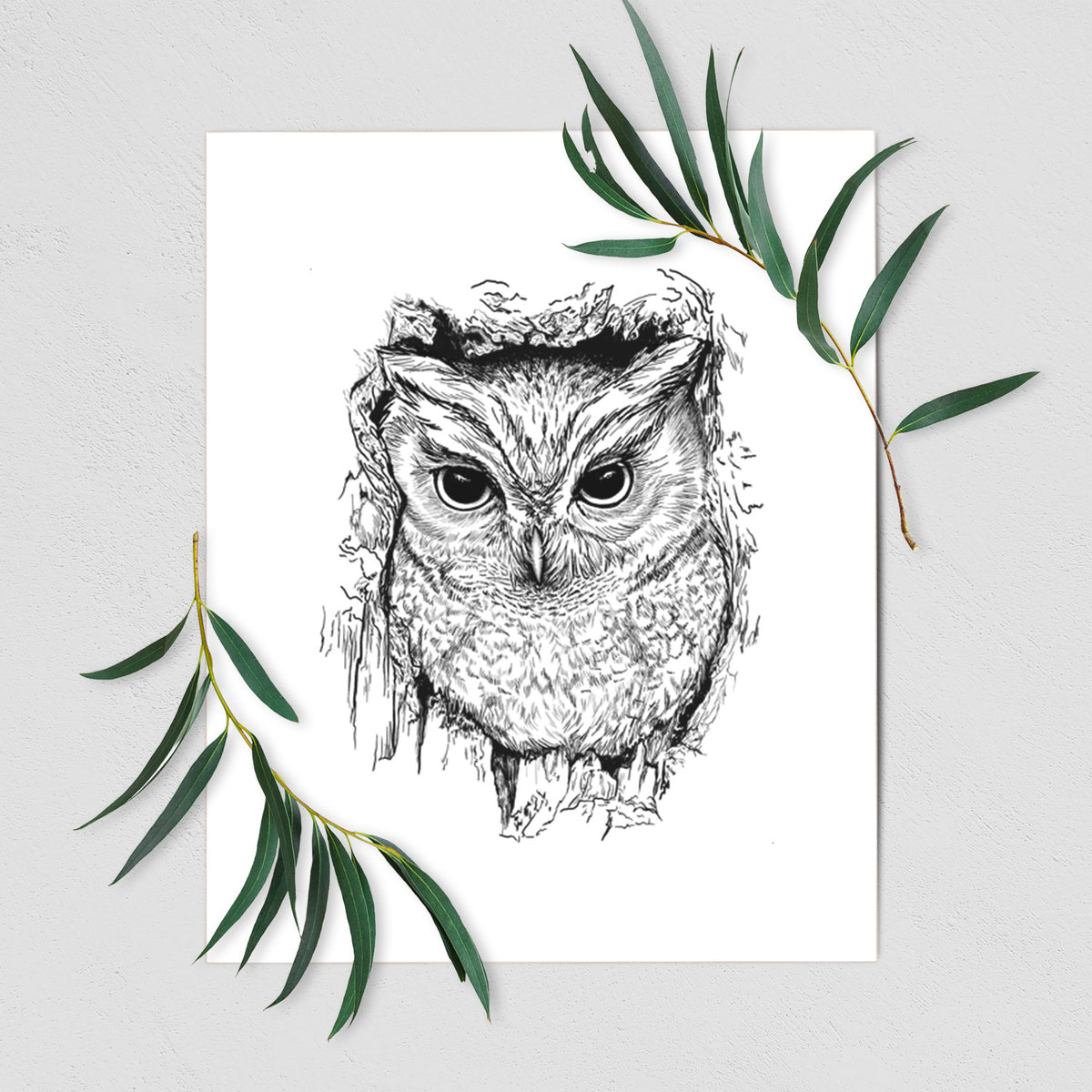 Eastern Screech Owl - Megascops asio - Fine Art Print