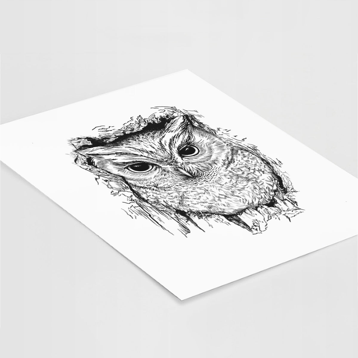 Eastern Screech Owl - Megascops asio - Fine Art Print