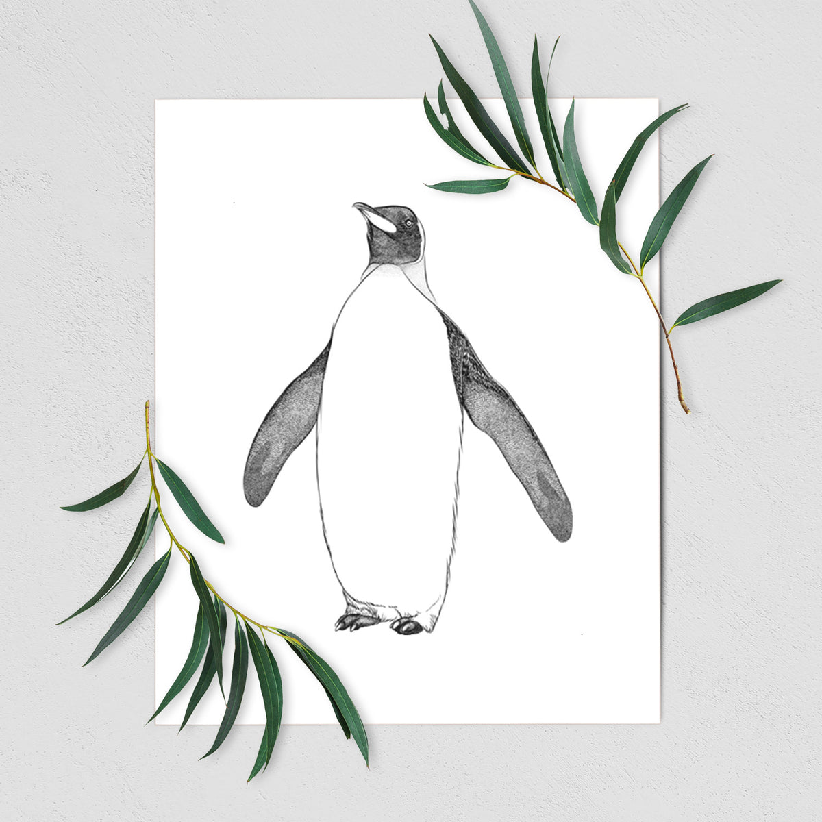 Emperor Penguin - Aptenodytes forsteri - Fine Art Print