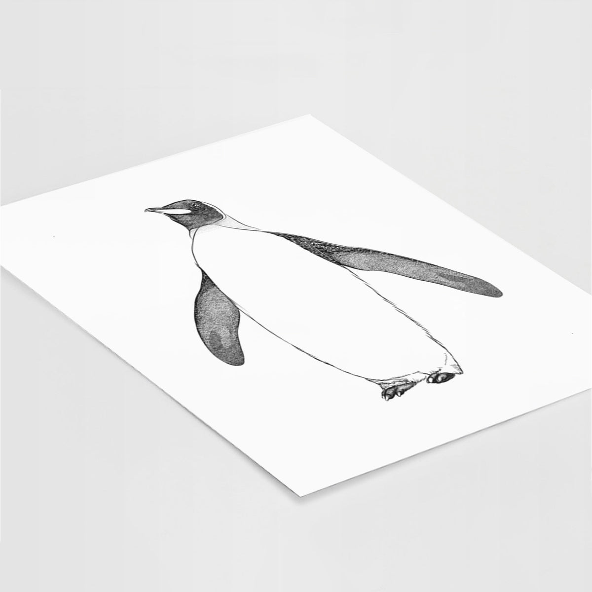 Emperor Penguin - Aptenodytes forsteri - Fine Art Print