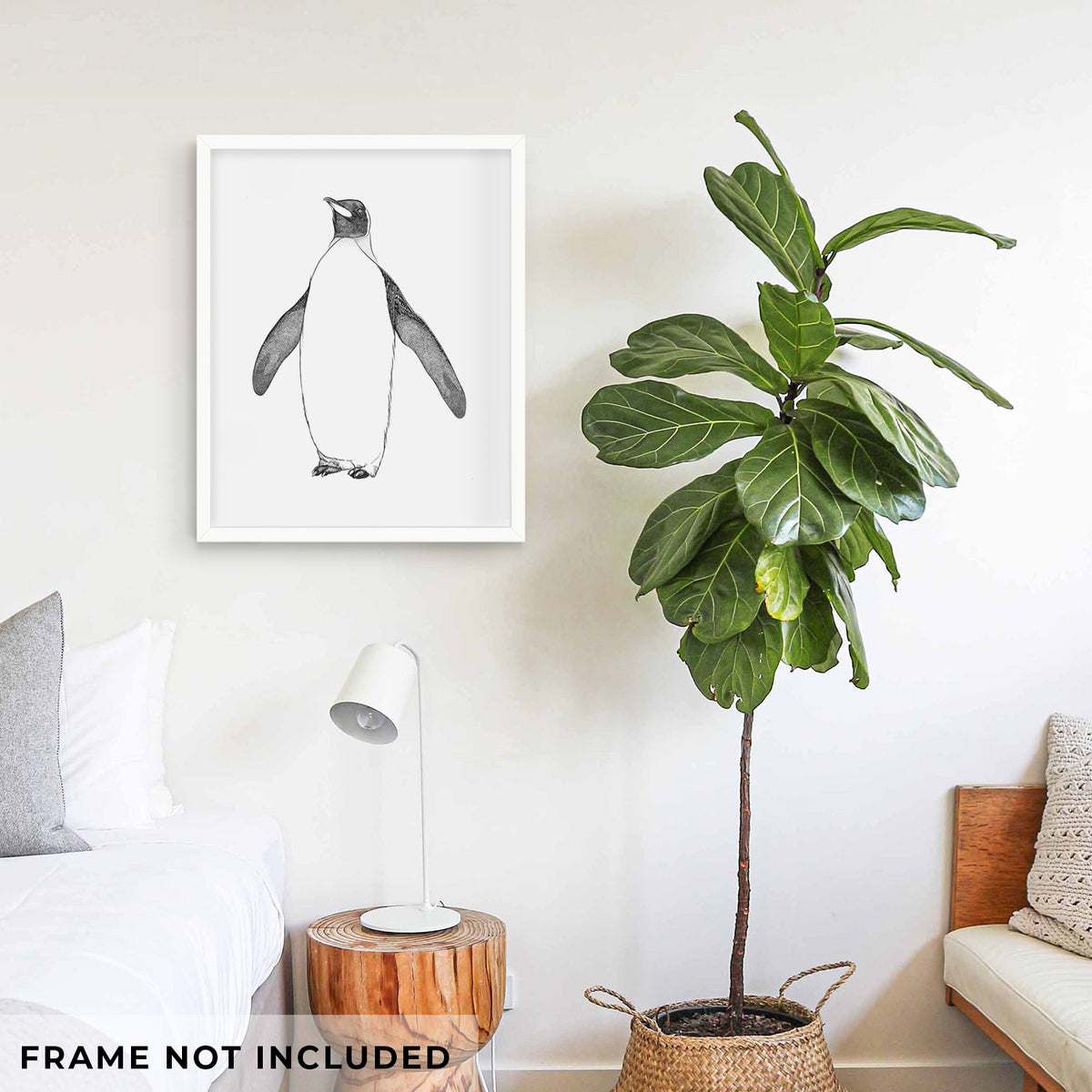 Emperor Penguin - Aptenodytes forsteri - Fine Art Print