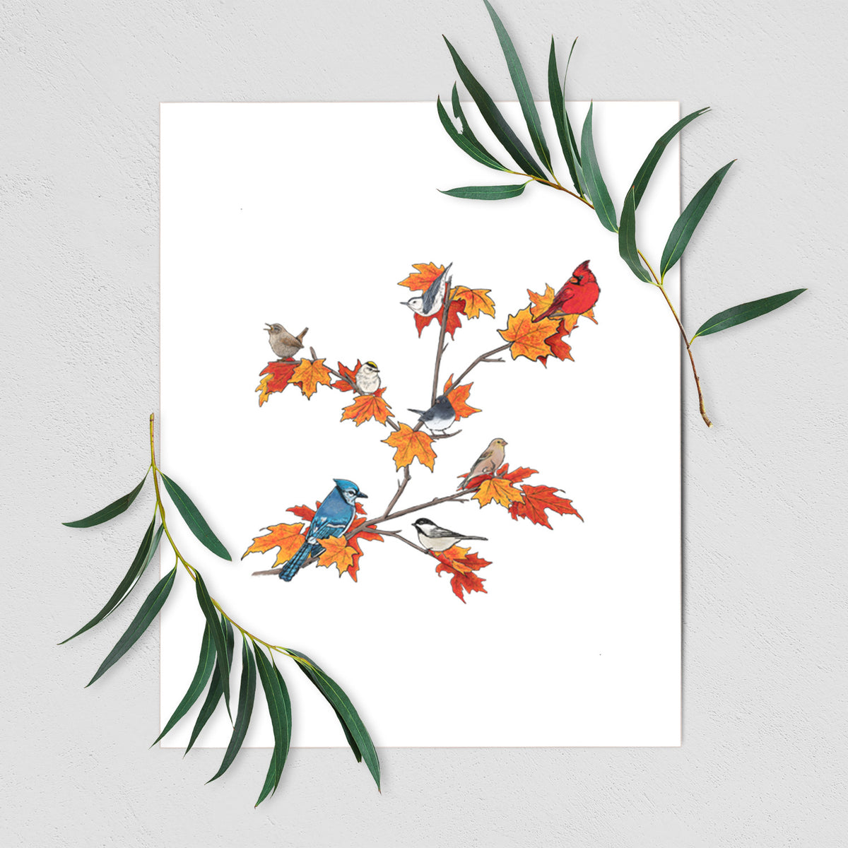 Autumn Backyard Birds - Fine Art Print