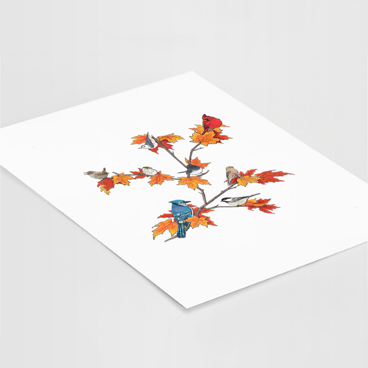 Autumn Backyard Birds - Fine Art Print