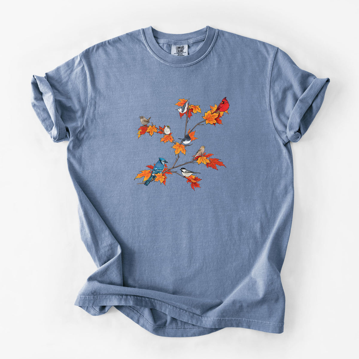Autumn Backyard Birds - Unisex Comfort Colors Garment-Dyed Heavyweight T-shirt