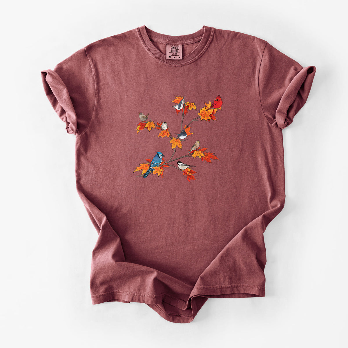 Autumn Backyard Birds - Unisex Comfort Colors Garment-Dyed Heavyweight T-shirt