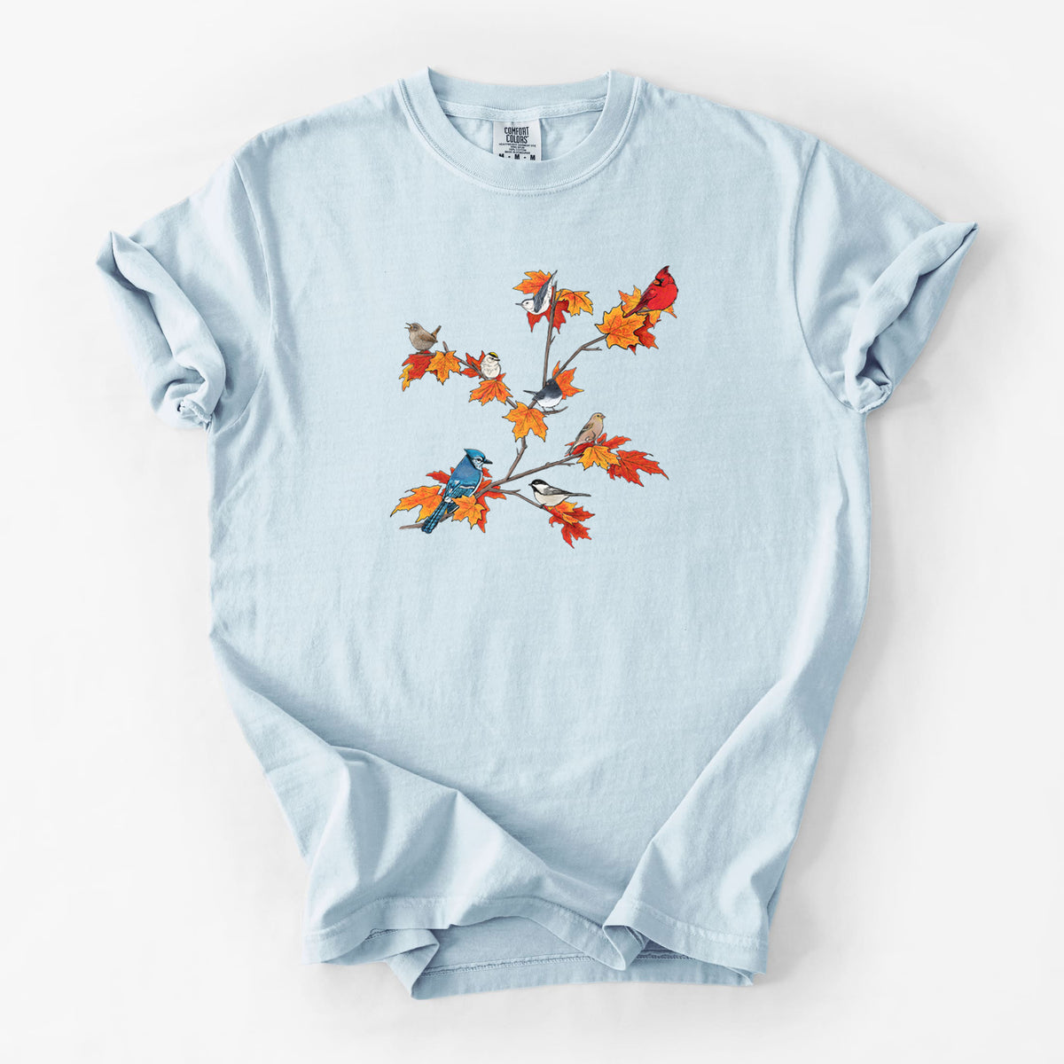 Autumn Backyard Birds - Unisex Comfort Colors Garment-Dyed Heavyweight T-shirt