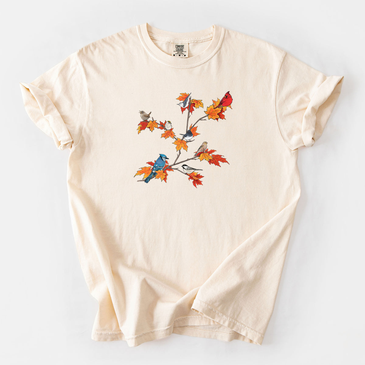 Autumn Backyard Birds - Unisex Comfort Colors Garment-Dyed Heavyweight T-shirt