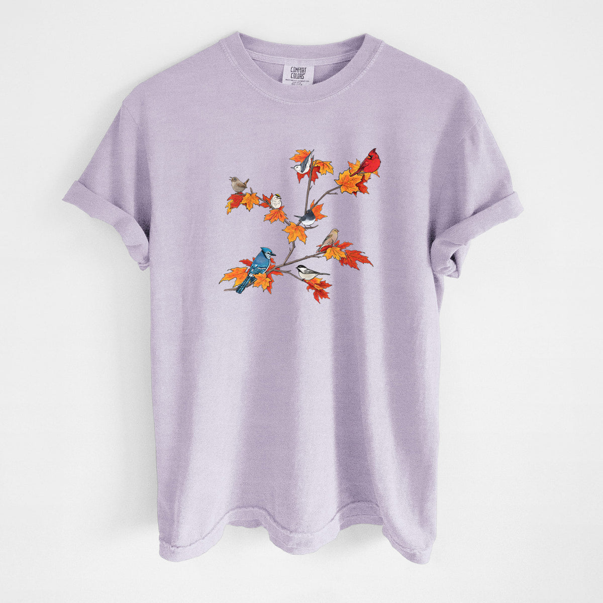 Autumn Backyard Birds - Unisex Comfort Colors Garment-Dyed Heavyweight T-shirt