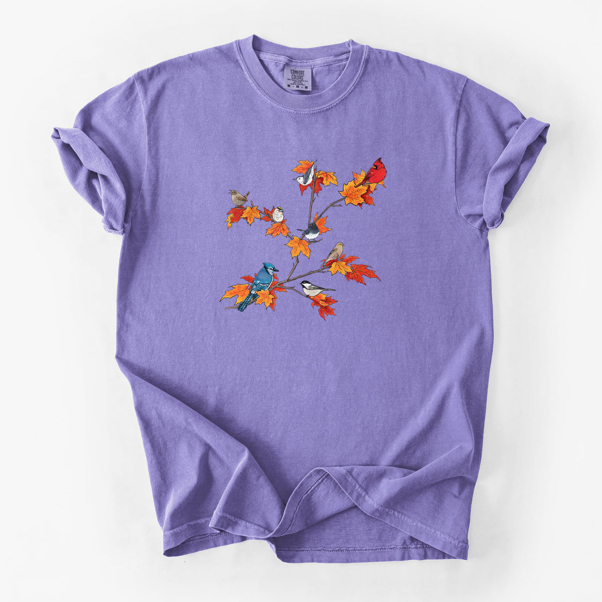 Autumn Backyard Birds - Unisex Comfort Colors Garment-Dyed Heavyweight T-shirt