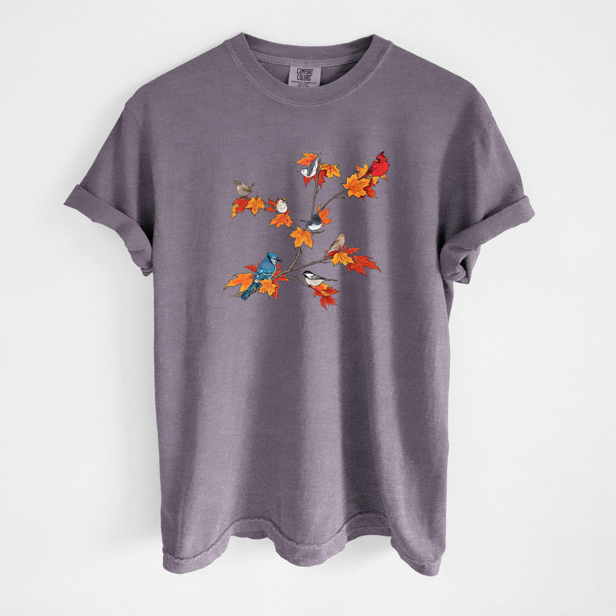 Autumn Backyard Birds - Unisex Comfort Colors Garment-Dyed Heavyweight T-shirt