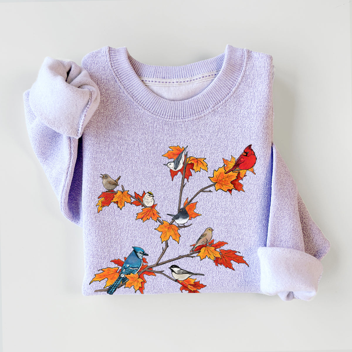 Autumn Backyard Birds - Knit Sweatshirt
