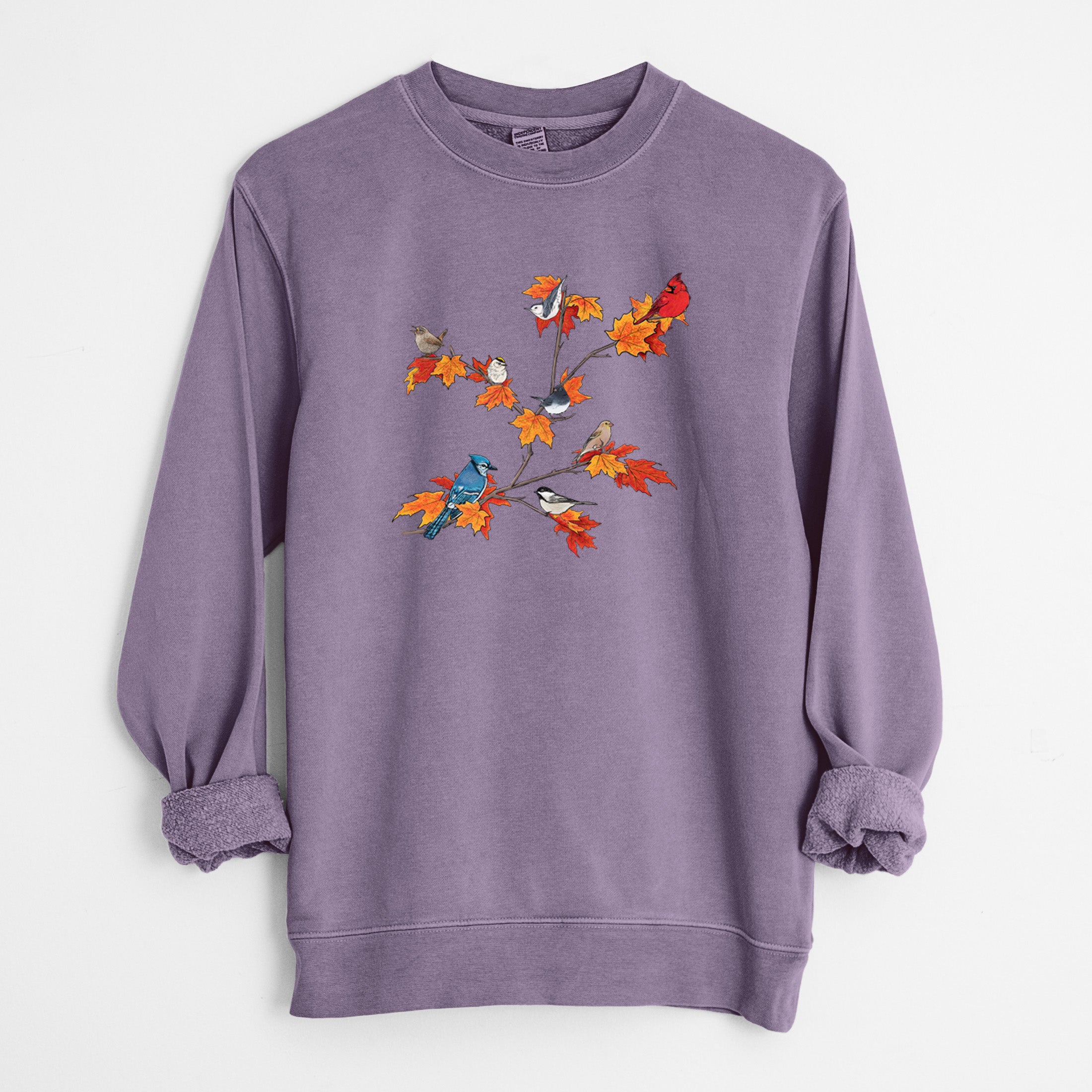 Autumn Backyard Birds - Unisex Pigment Dyed Crew Sweatshirt