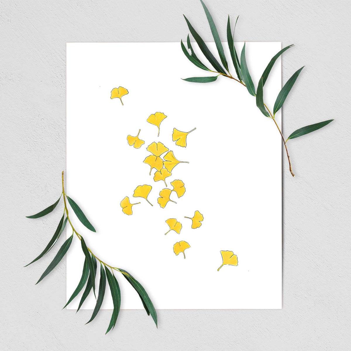 Falling Ginkgo Leaves - Fine Art Print