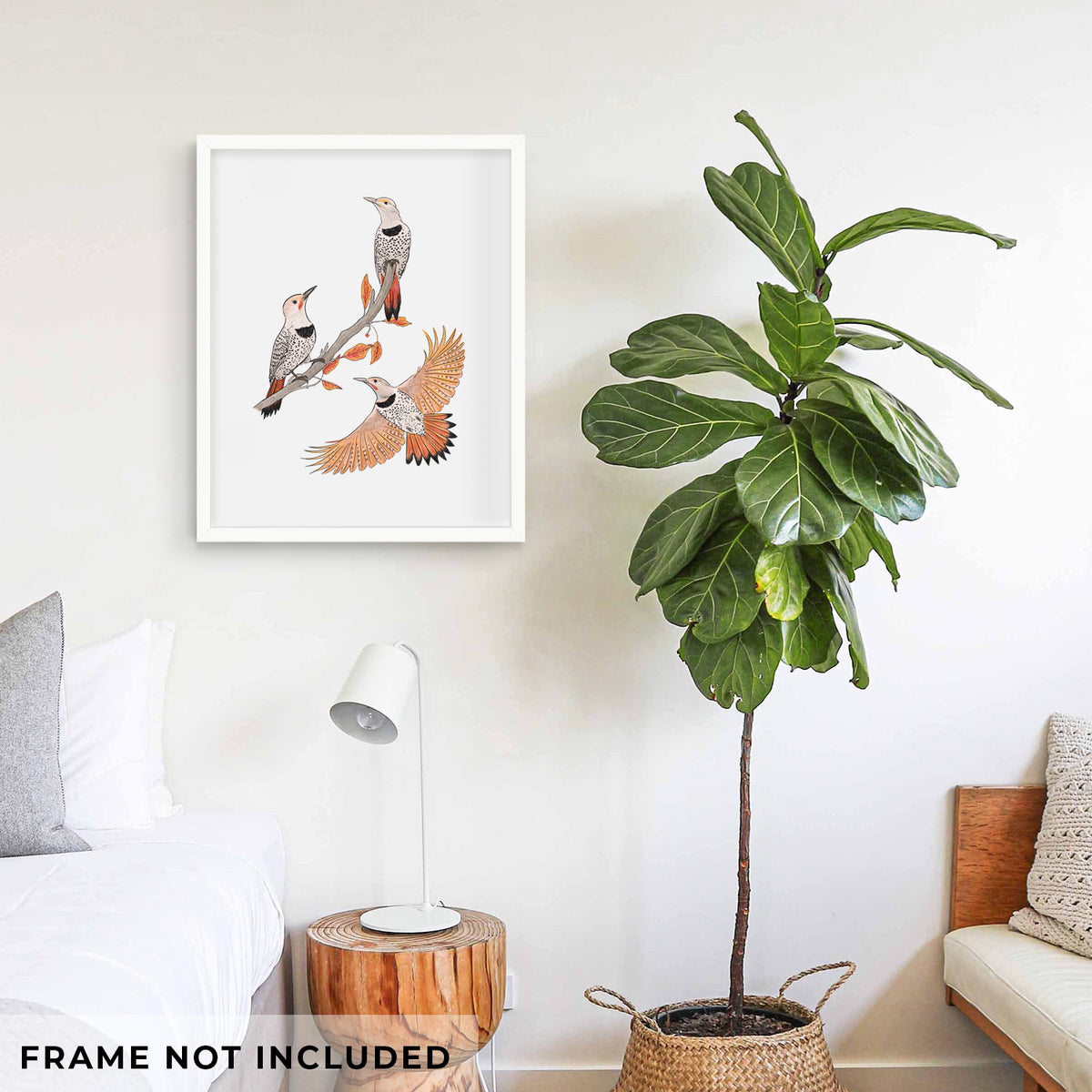 Northern Flickers (Red-shafted) - Colaptes auratus - Fine Art Print