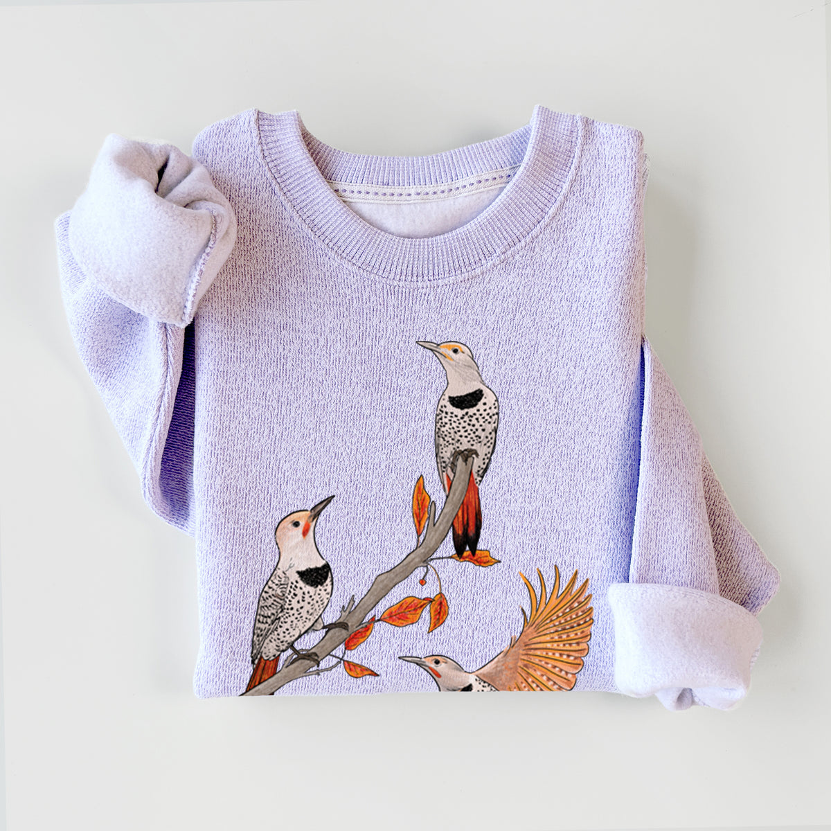 Northern Flickers (Red-shafted) - Colaptes auratus - Knit Sweatshirt
