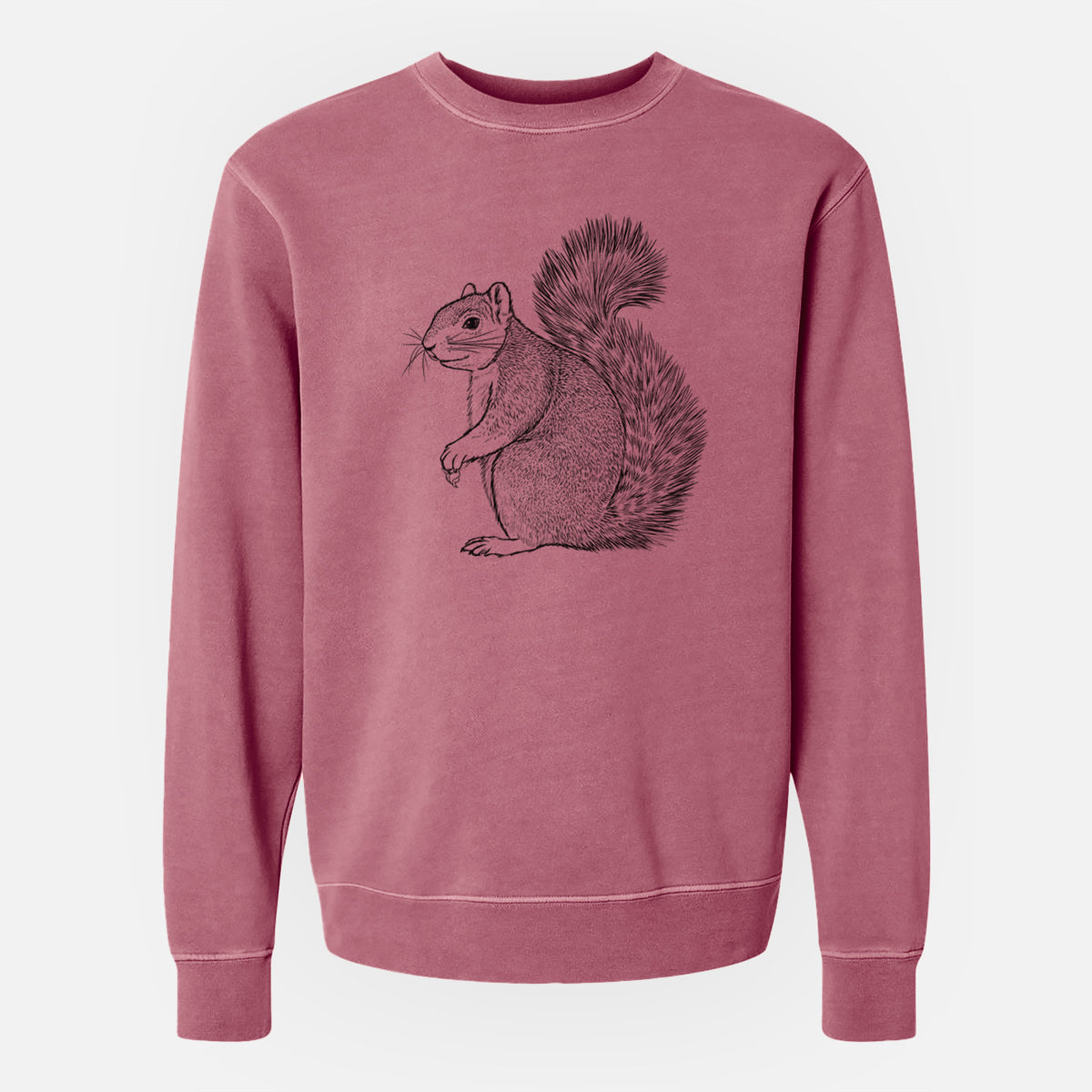 Eastern Fox Squirrel - Sciurus niger - Unisex Pigment Dyed Crew Sweatshirt