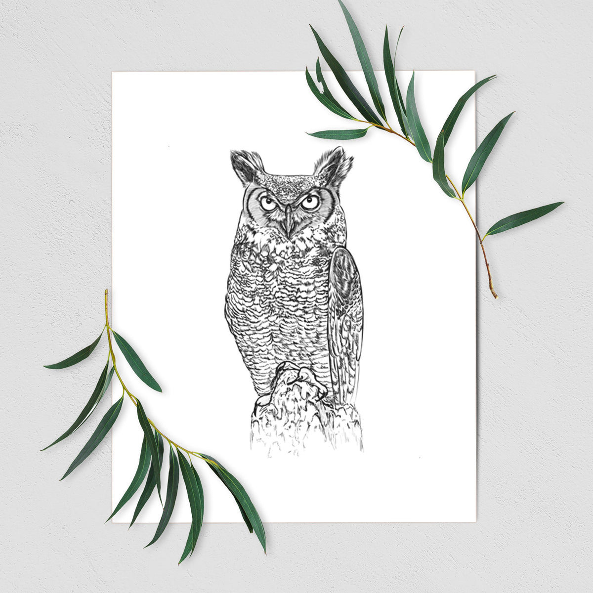 Bubo virginianus - Great Horned Owl - Fine Art Print