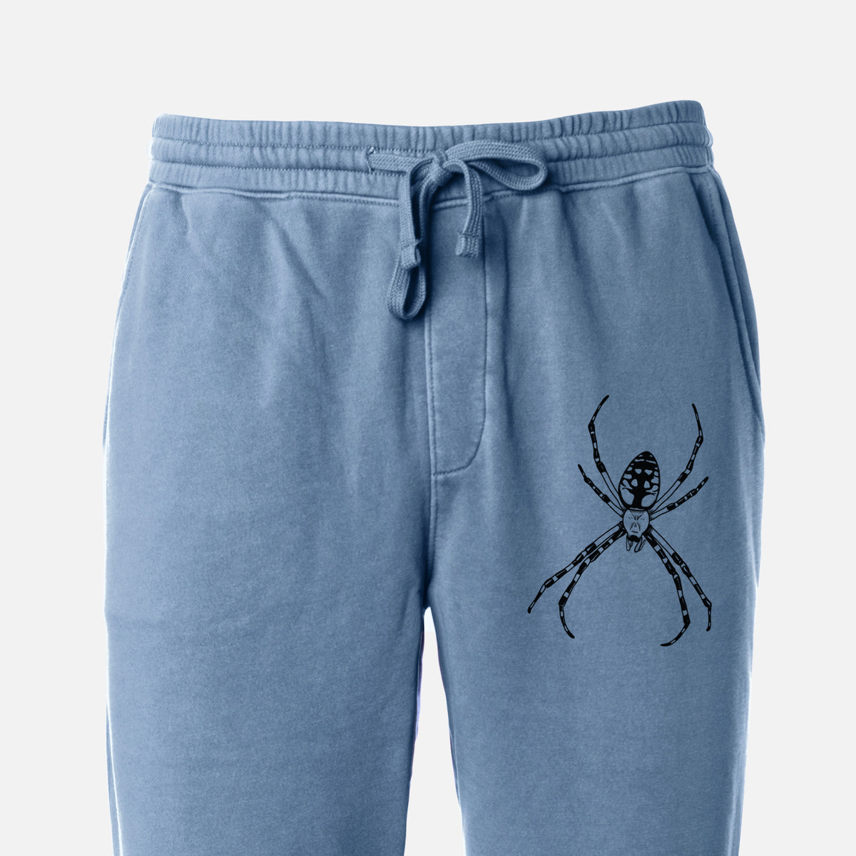 Argiope aurantia - Yellow Garden Spider - Unisex Pigment Dyed Sweatpants