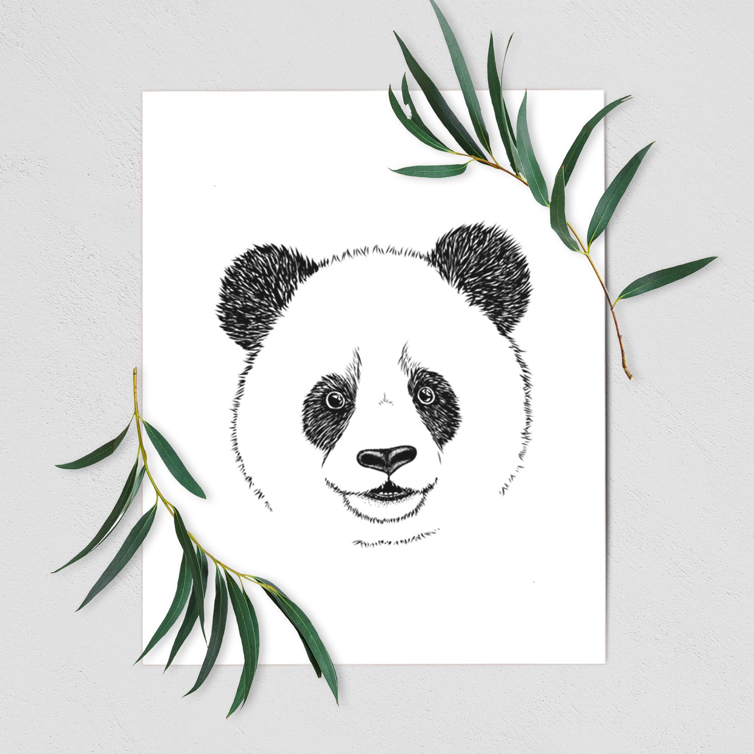 Giant Panda - Fine Art Print