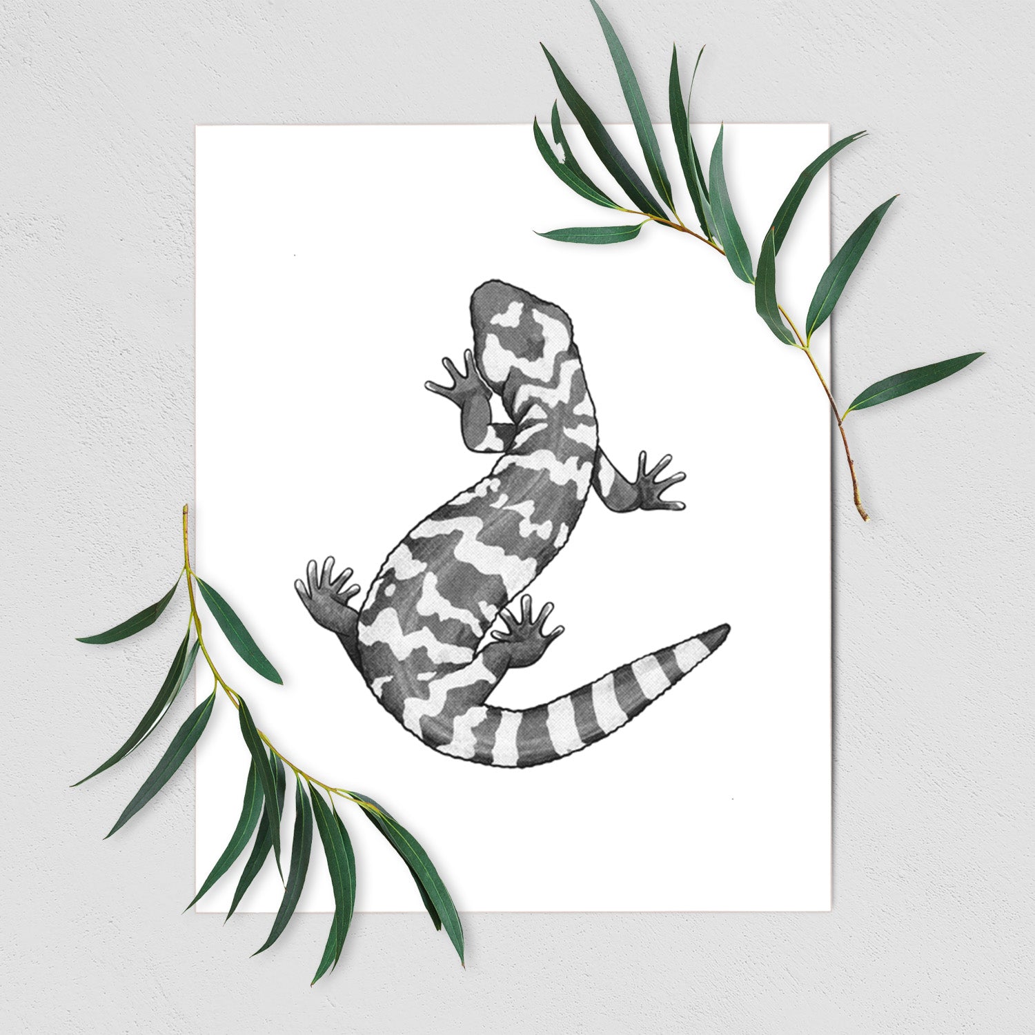 Gila Monster - Heloderma suspectum - Fine Art Print