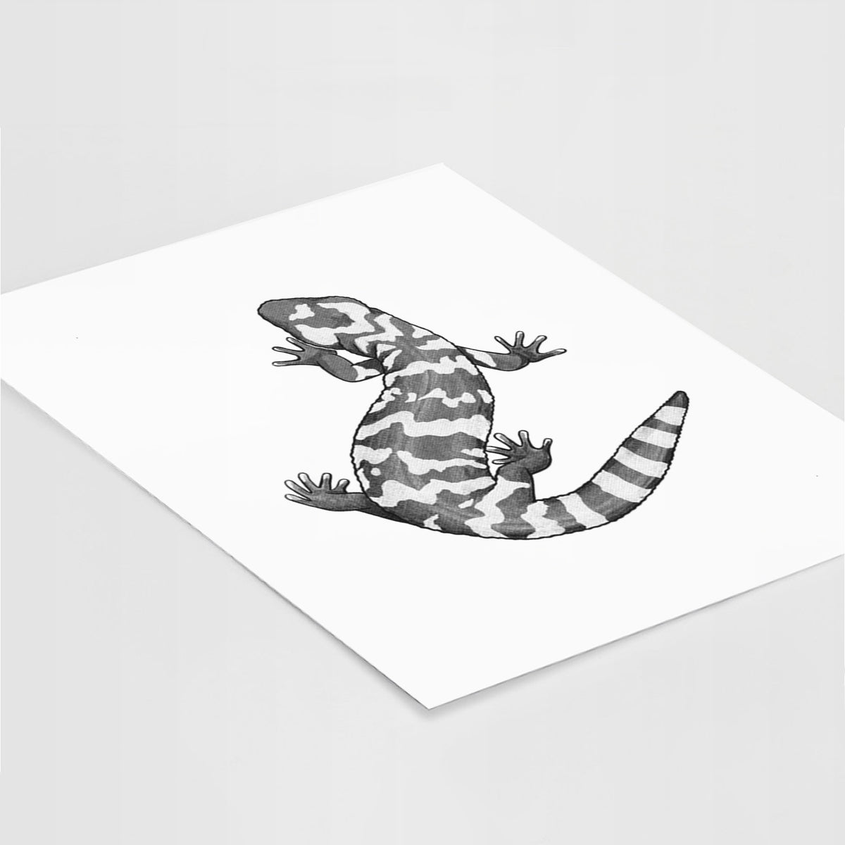 Gila Monster - Heloderma suspectum - Fine Art Print