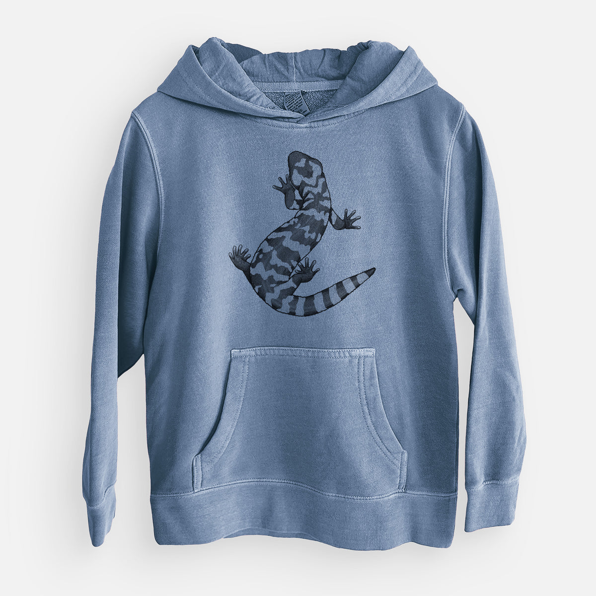 Gila Monster - Heloderma suspectum - Youth Pigment Dyed Hoodie
