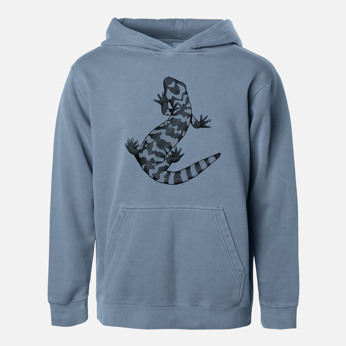 Gila Monster - Heloderma suspectum - Youth Pigment Dyed Hoodie