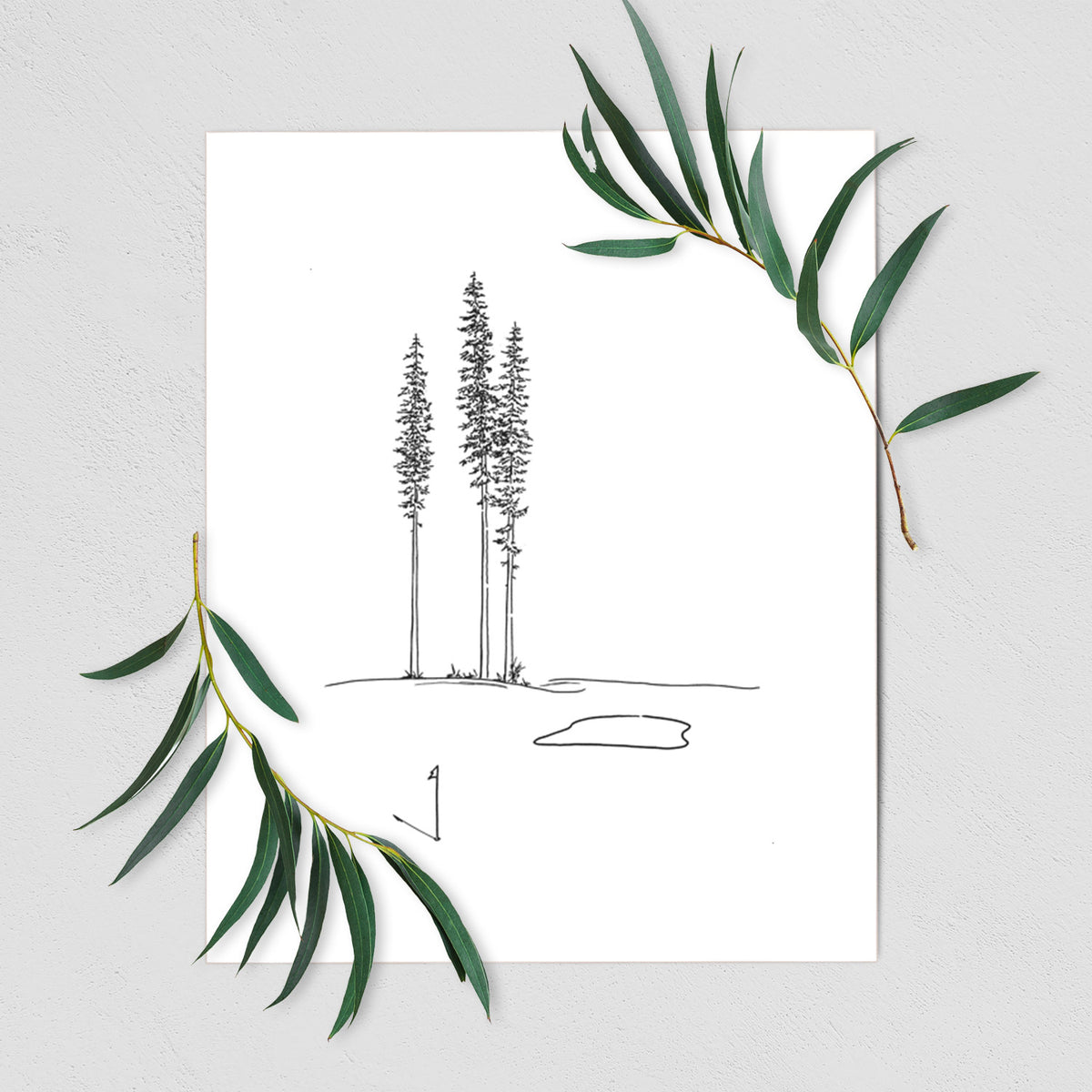 Playing Through the Pines - Fine Art Print