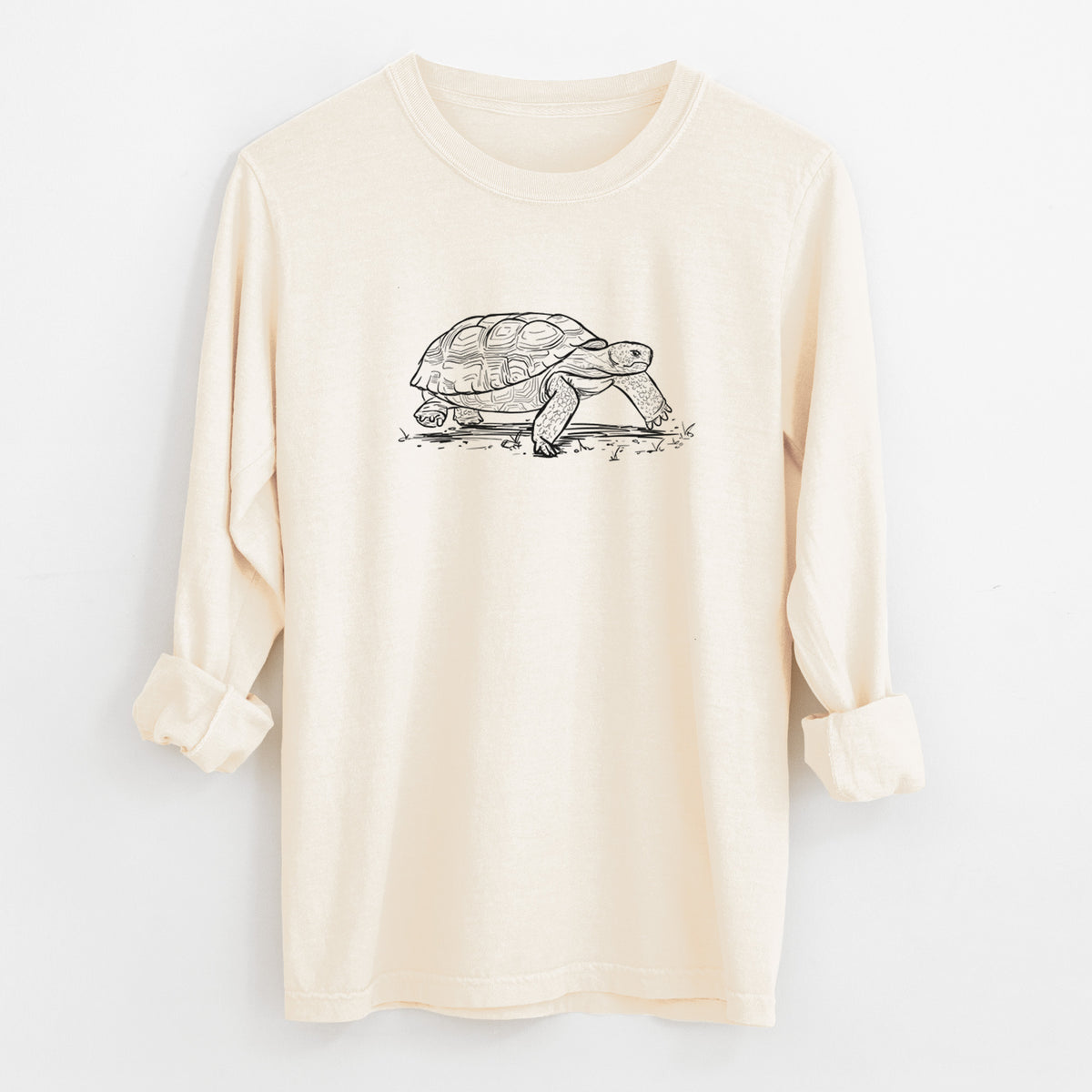 Gopher Tortoise - Gopherus polyphemus - Unisex Comfort Colors 100% Cotton Long Sleeve