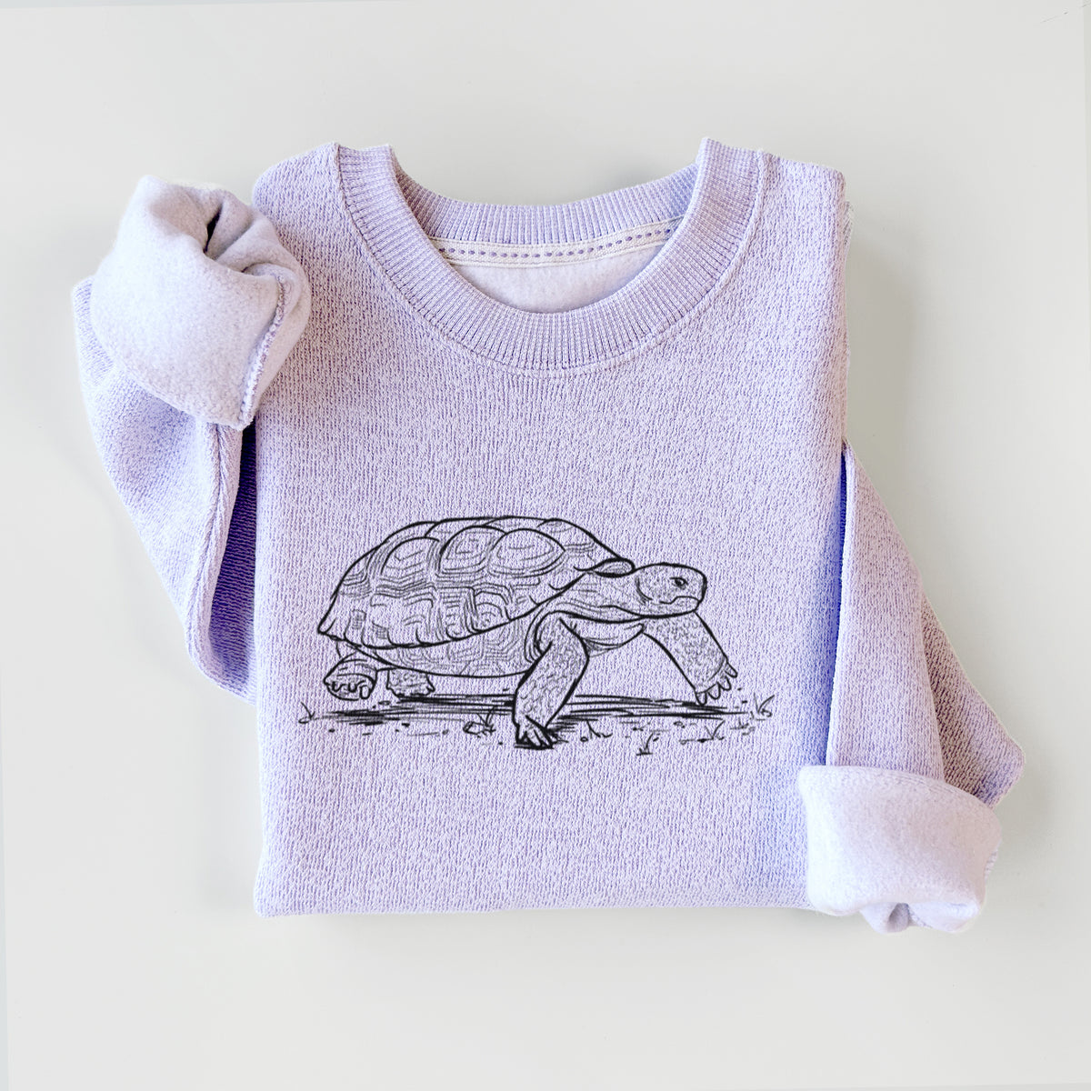 Gopher Tortoise - Gopherus polyphemus - Knit Sweatshirt