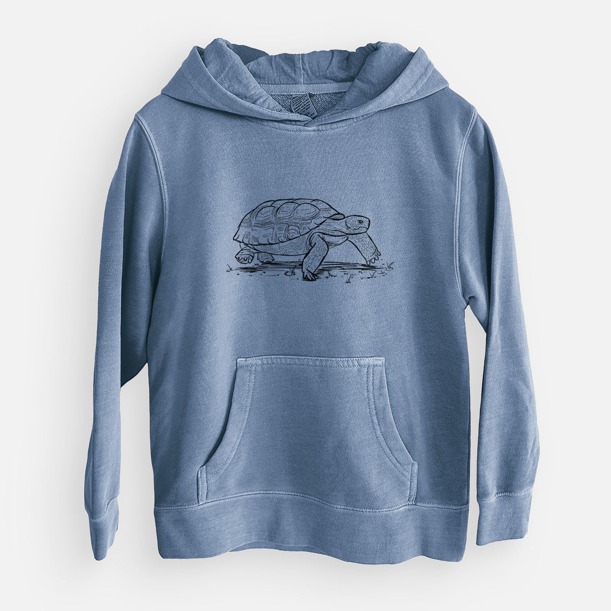 Gopher Tortoise - Gopherus polyphemus - Youth Pigment Dyed Hoodie