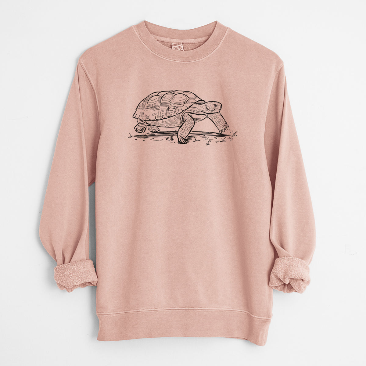 Gopher Tortoise - Gopherus polyphemus - Unisex Pigment Dyed Crew Sweatshirt