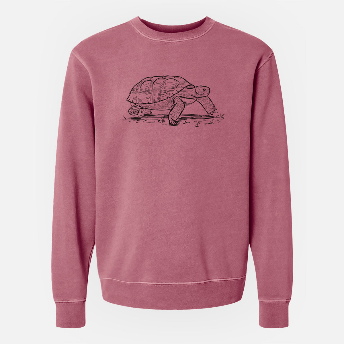 Gopher Tortoise - Gopherus polyphemus - Unisex Pigment Dyed Crew Sweatshirt