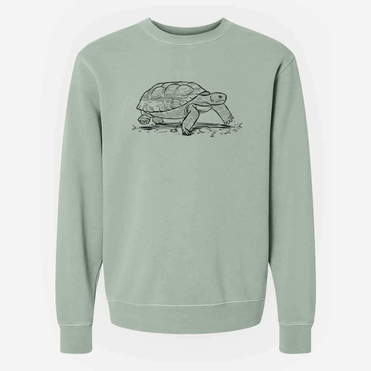 Gopher Tortoise - Gopherus polyphemus - Unisex Pigment Dyed Crew Sweatshirt