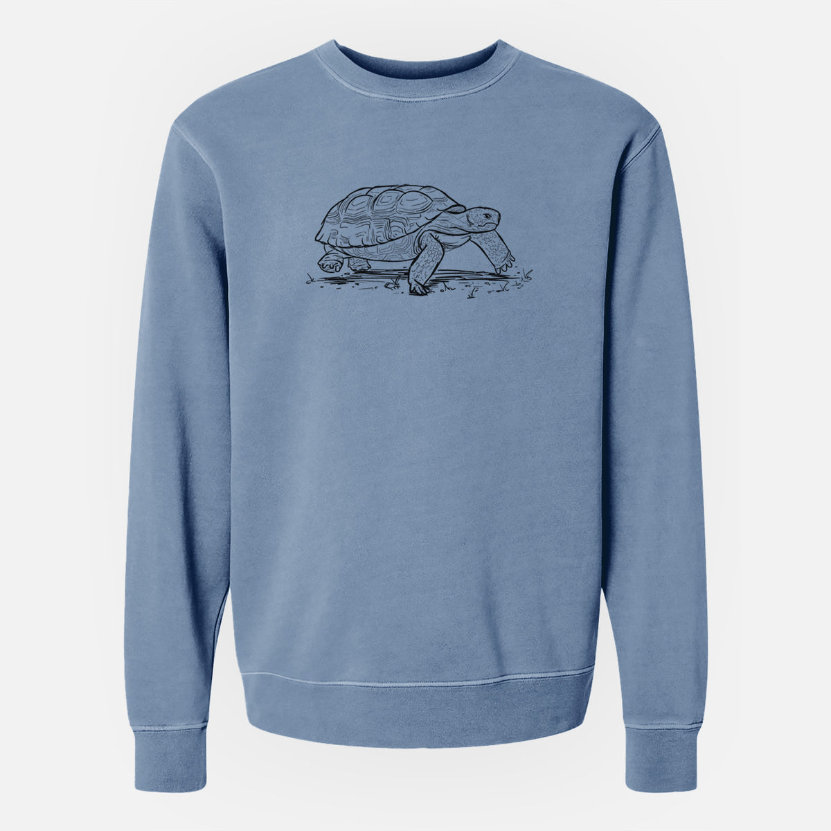 Gopher Tortoise - Gopherus polyphemus - Unisex Pigment Dyed Crew Sweatshirt