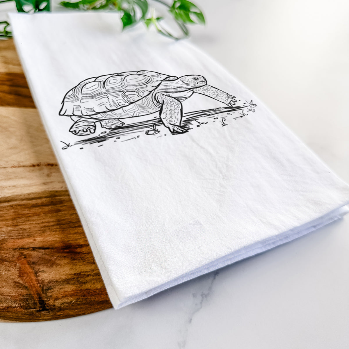Gopher Tortoise - Gopherus polyphemus Tea Towel
