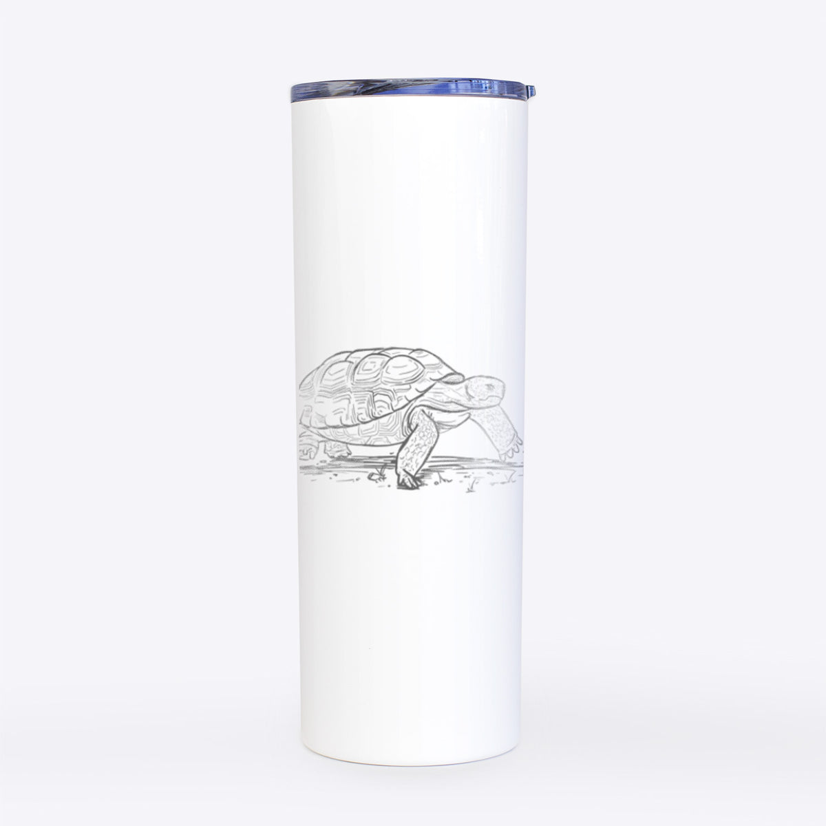 Gopher Tortoise - Gopherus polyphemus - 20oz Skinny Tumbler