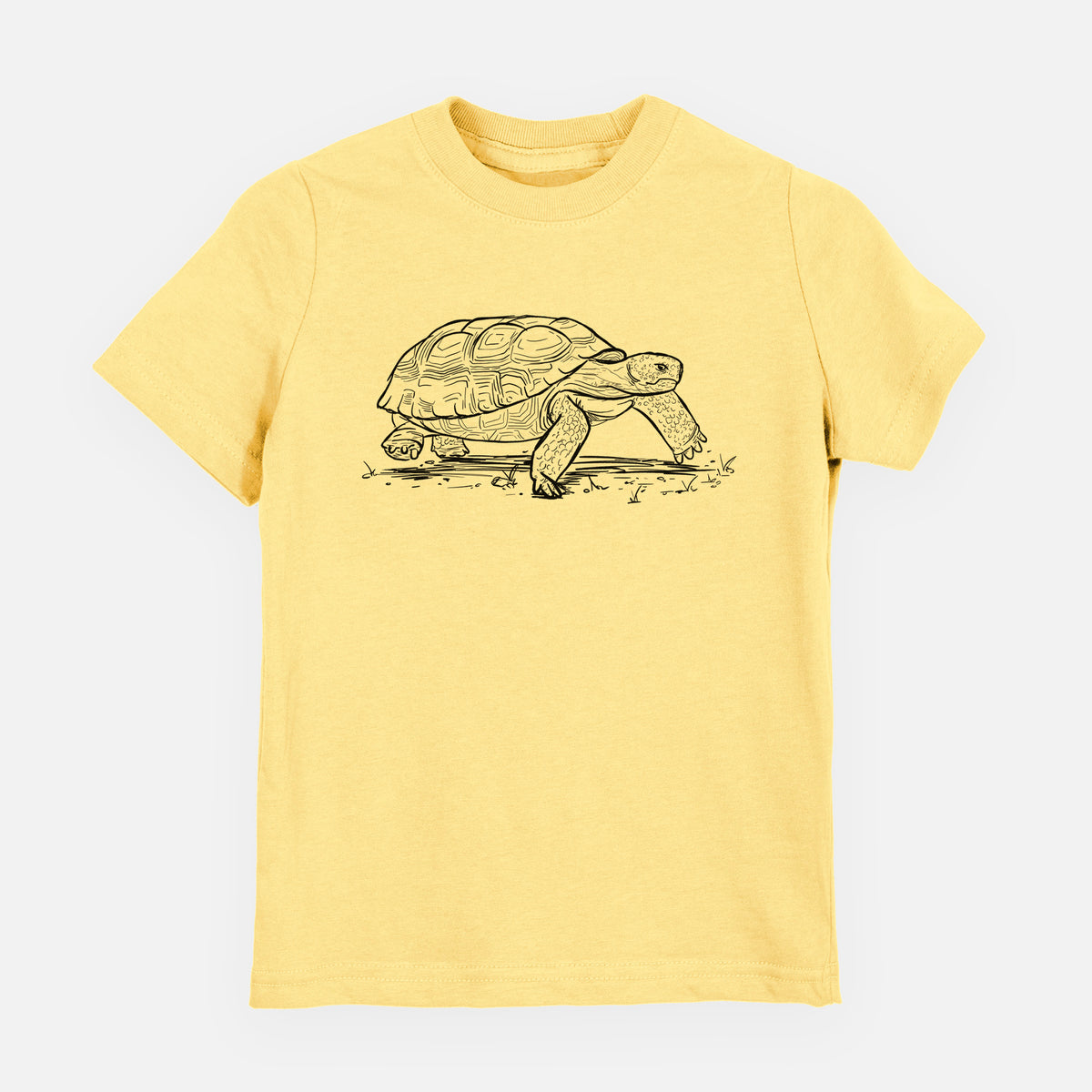 Gopher Tortoise - Gopherus polyphemus - Toddler/Youth Shirt