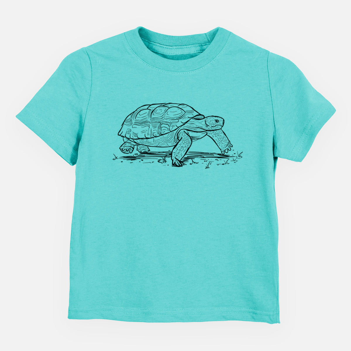 Gopher Tortoise - Gopherus polyphemus - Toddler/Youth Shirt