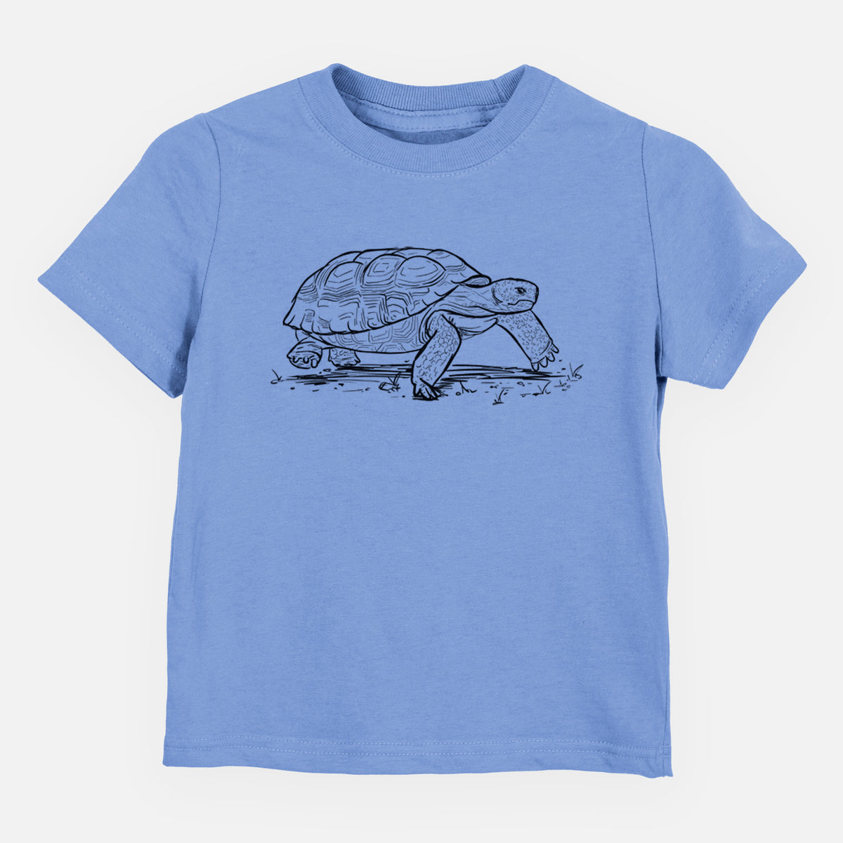 Gopher Tortoise - Gopherus polyphemus - Toddler/Youth Shirt