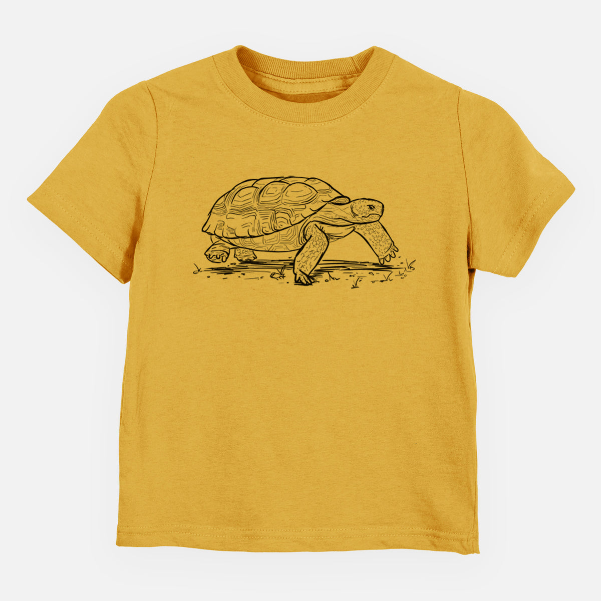 Gopher Tortoise - Gopherus polyphemus - Toddler/Youth Shirt