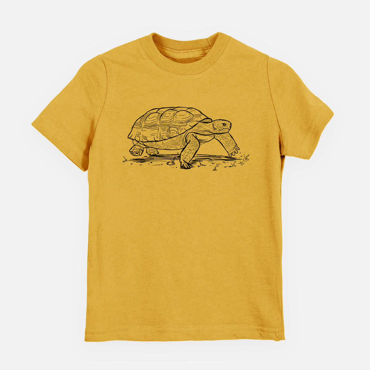 Gopher Tortoise - Gopherus polyphemus - Toddler/Youth Shirt