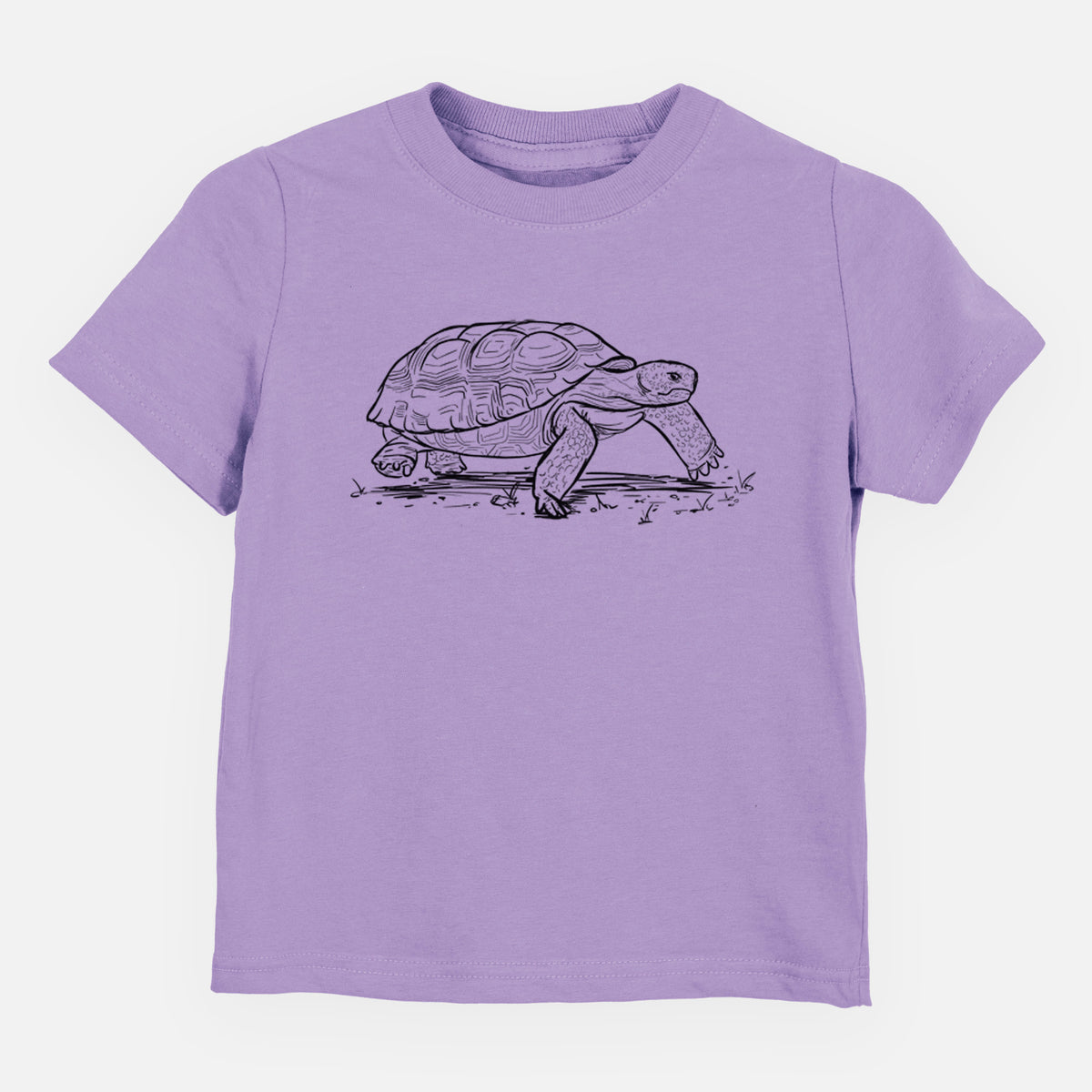 Gopher Tortoise - Gopherus polyphemus - Toddler/Youth Shirt