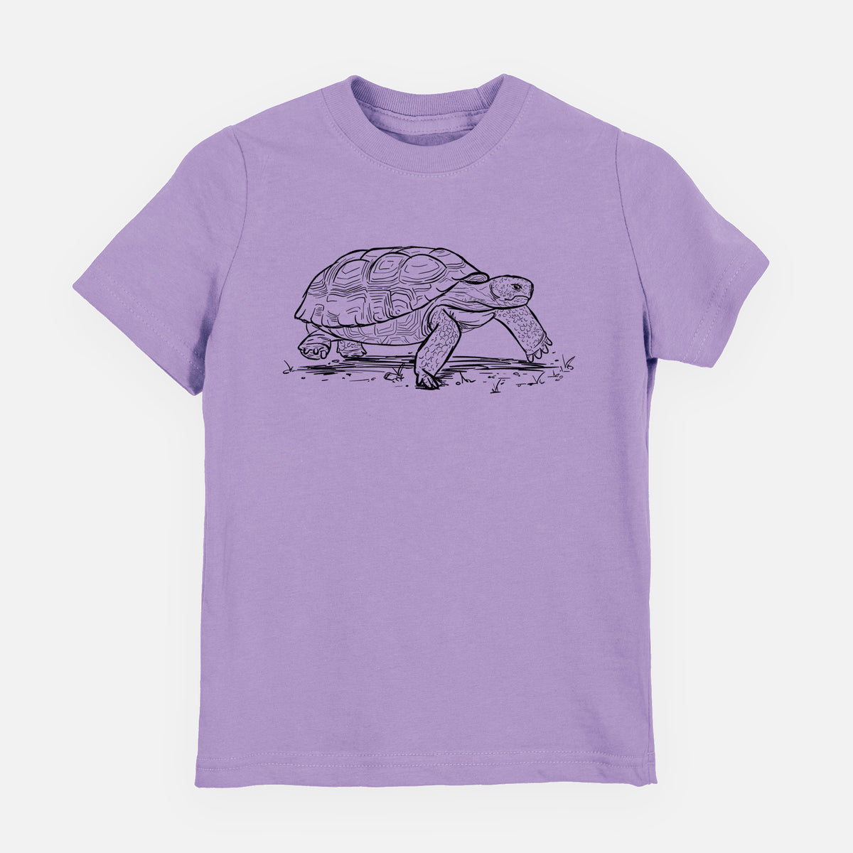 Gopher Tortoise - Gopherus polyphemus - Toddler/Youth Shirt