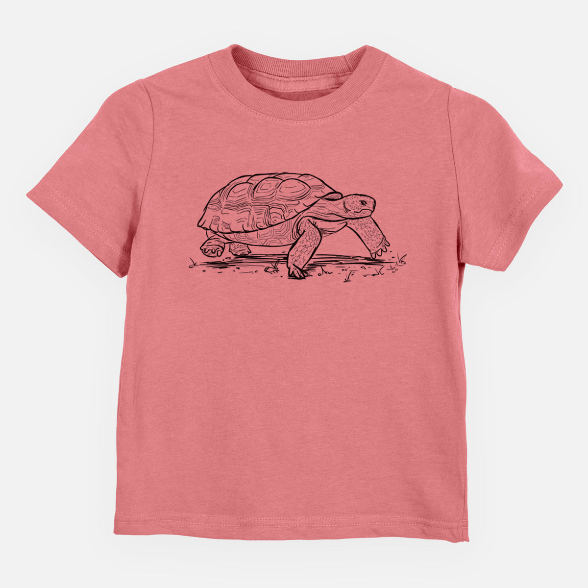 Gopher Tortoise - Gopherus polyphemus - Toddler/Youth Shirt