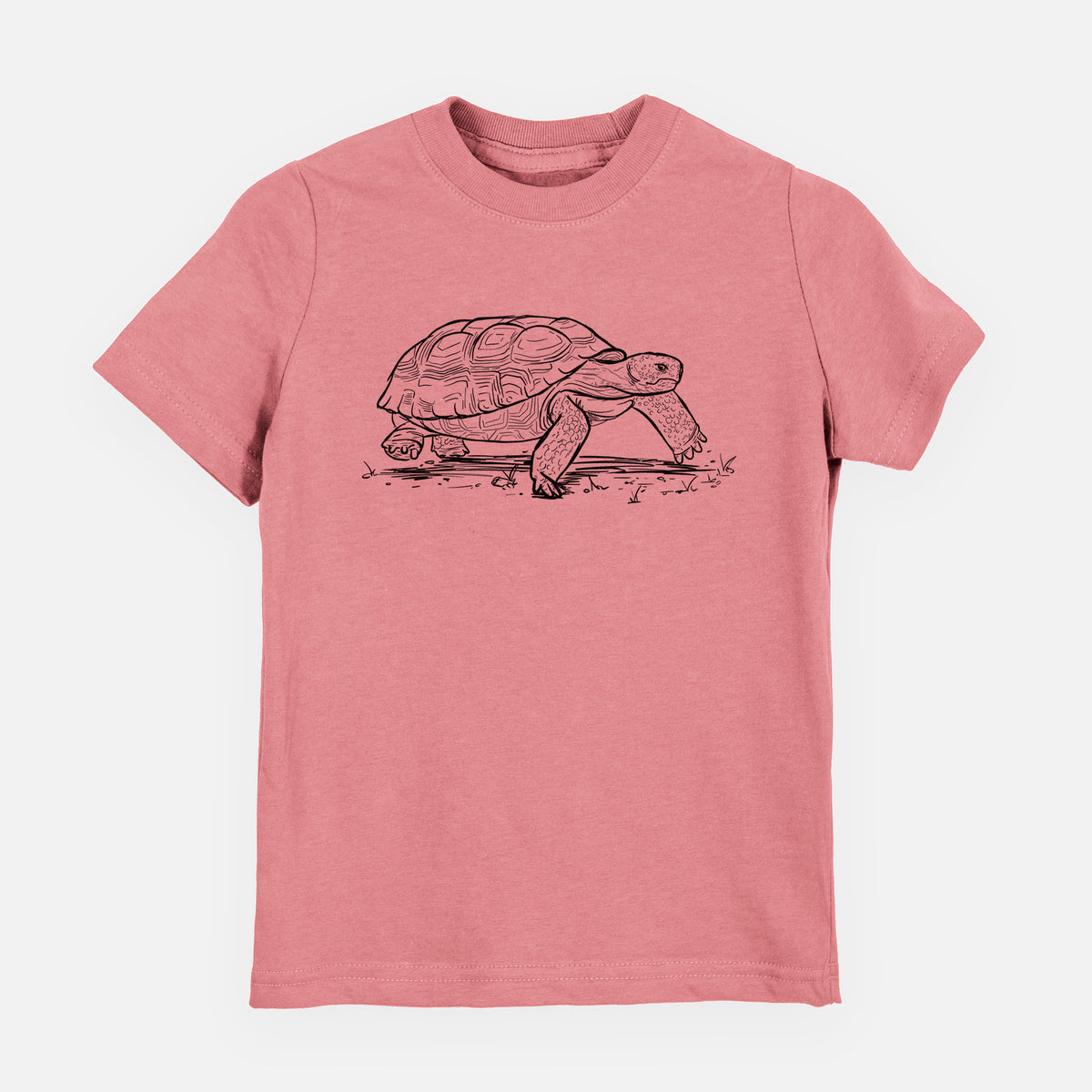 Gopher Tortoise - Gopherus polyphemus - Toddler/Youth Shirt