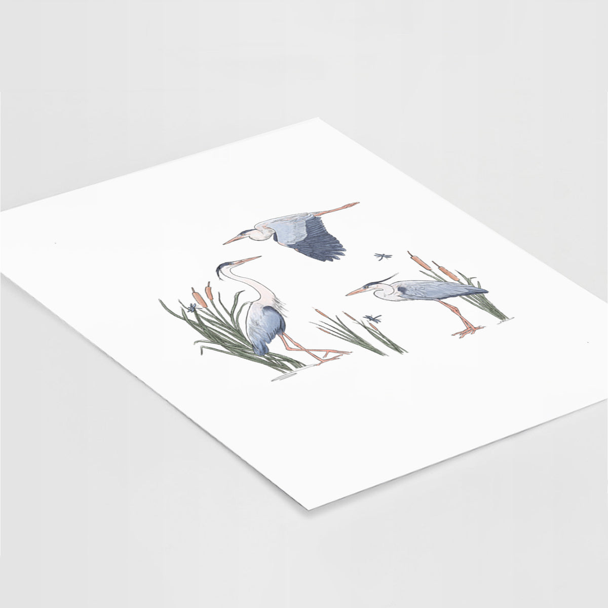 Great Blue Herons in the Cattails - Fine Art Print