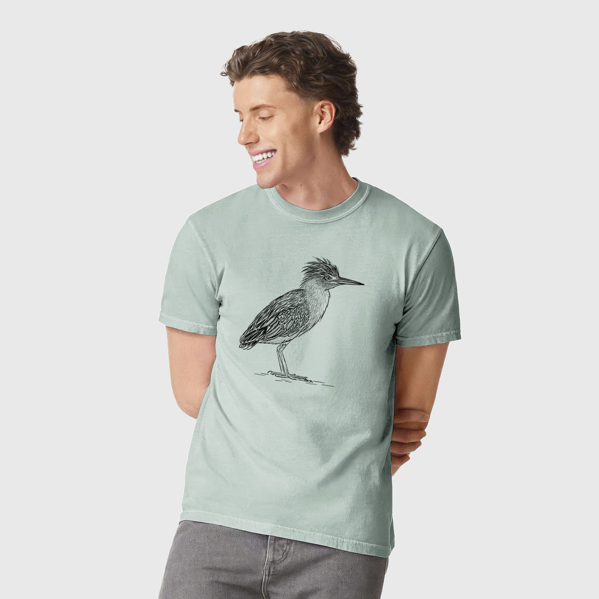 Green Heron - Butorides virescens - Unisex Comfort Colors Garment-Dyed Heavyweight T-shirt