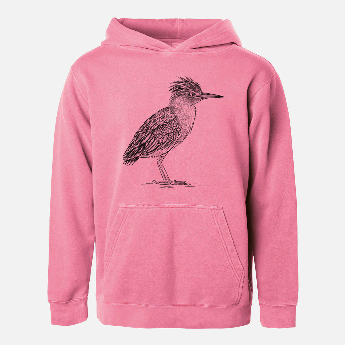 Green Heron - Butorides virescens - Youth Pigment Dyed Hoodie